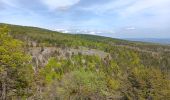 Tour Wandern Aurel - Le Pas de la Frache - Photo 6