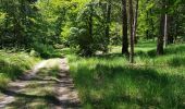 Randonnée Marche Barbizon - Gorges d'Apremont depuis Barbizon - Photo 1