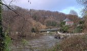 Tour Wandern Durbuy - Durbuy - Petit Han - Photo 2