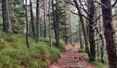 Tour Wandern Sulzern - 2022-12-27 Marche Soultzeren Lac Forlet Hautes Huttes Glasborn - Photo 1