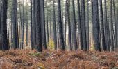 Tour Wandern Oud-Heverlee - Zoete Water Meerdael 14,2 km - Photo 7