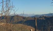 Randonnée A pied Sesta Godano - Arsina - Carrodano Superiore - Mattarana - Colle Gruzze - San Nicolao - Photo 9