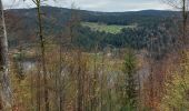 Trail Walking Le Valtin - le Collet - Longemer - Photo 1