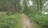 Randonnée Marche Trois-Ponts - autour de Wannes et Henimont - Photo 10