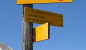 Trail Walking Pralognan-la-Vanoise - Pralognan - le petit Mont Blanc - Photo 8