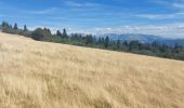 Tour Wandern Lans-en-Vercors - le moucherotte  - Photo 6