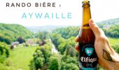 Trail Walking Aywaille - Rando bière :  Aywaille - Photo 1