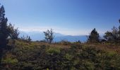 Tour Wandern Lans-en-Vercors - Vertige des Cimes - Grand Cheval - Pic St Michel - Col de  l Arc - Photo 10