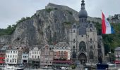 Tocht Stappen Dinant - Pégase de Dinant à Godinne - Photo 2