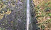 Tocht Stappen São Roque do Faial - Le chaudron vert  - Photo 1