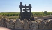 Tour Wandern Pouilly-sur-Loire - Pouilly sur loire 58:rando dans les Vignes  - Photo 10