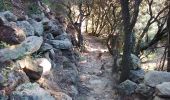 Trail Walking Le Barroux - le barroux 84 clairier - Photo 4