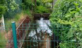 Randonnée Marche Nouan-le-Fuzelier - promenade de nouan  - Photo 1