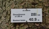 Trail Walking Stavelot - 20220711 - Francorchamps 7.1 Km - Photo 13