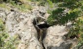 Randonnée Marche Bormes-les-Mimosas - Vallons de la Gourre et des Caunes  - Photo 6