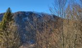 Trail Walking Lepuix - Saut de la Truite - cascade du Rummel - Etang du Petit-Haut - Ballon d'alsace - Photo 13