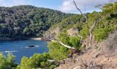 Tour Wandern Hyères - Giens boucle ouest - Photo 15