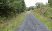 Trail On foot Roscommon Municipal District - Clogher - Photo 3