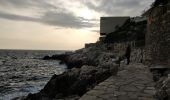 Trail Walking Nice - Nice Mont Boron, Mont Alban, cap de Nice - Photo 6