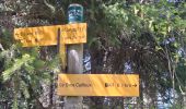 Trail Walking Les Adrets - LE GROS CAILLOU PAR LA COLONIE - Photo 15