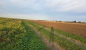 Trail Walking Amponville - Amponville - Dolmen dit la Pierre Larmoire - Photo 15