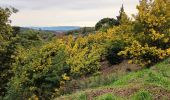 Randonnée Marche Tanneron - Les Mimosas-Tanneron-13-01-2023 - Photo 4