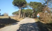 Trail On foot Passignano sul Trasimeno - Castel Rigone - Torre Fiume - Photo 2
