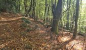 Excursión Senderismo Veix - Tour du Puy d'Orliac - Photo 1