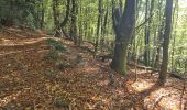 Tour Wandern Veix - Tour du Puy d'Orliac - Photo 1