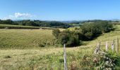 Tour Wandern Susmiou - GR 65 Navarrenx > Lichos - Photo 8