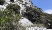 Randonnée Marche La Valette-du-Var - Mt Coudon + crêtes - Photo 3