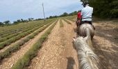 Trail Horseback riding Céreste - Provence 2025 J3 - Photo 13