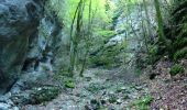 Trail Walking Saou - La Grande Combe en Forêt de Saoû - Photo 4