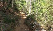 Tocht Stappen Rustrel - tour du Colorado Provencal-10-05-23 - Photo 15