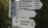 Tocht Te voet Lauterbach - Lauterbacher Wandersteig - Photo 1