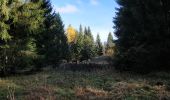 Percorso Marcia Arâches-la-Frasse - Les Carroz, Mont Favy, pierre à Laya, Araches, remontée par les Nantes praz rôti, retour par les grangettes - Photo 12