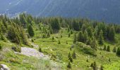 Trail Walking Chamonix-Mont-Blanc - Hôtel la Flégère - GR TMB - Lacs de Chéserys - Photo 14
