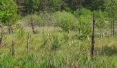 Tour Zu Fuß Märkische Heide - Wanderweg Schlepzig-Dürrenhofe - Photo 4