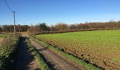 Trail Walking Braine-l’Alleud - 68.744 Bois Seigneur Isaac - Promenade du Chateau  - Photo 2