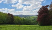 Trail Walking Stoumont - Marche ADEPS Stoumont 15 km - Photo 2