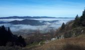 Tour Wandern Villard-de-Lans - Plateau du Cornafion en circuit de la Conversaria - Photo 8