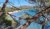 Excursión Senderismo La Londe-les-Maures - La Londe - L'argentiere vers le Pellegrin - Photo 20