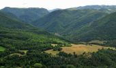 Randonnée Marche Courgoul - Courgoul_Chemin_Bergeres - Photo 1