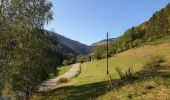 Tour Wandern Markirch - Crête granitique et forêts profondes - Photo 1