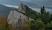 Tour Wandern Le Bourget-du-Lac - dent du chat par mollard noir départ parking des côtes  - Photo 2