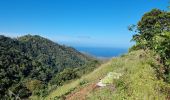 Trail Walking Le Morne-Vert - quartier Monjoly (Morne-Vert) - Photo 2