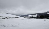 Excursión Raquetas de nieve Soultz-Haut-Rhin - Raquettes au Molkenrain - Photo 2