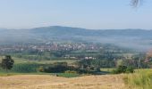 Trail Walking Monteroni d'Arbia - CR_Francigena_DG_43_Monteroni-D-Arbia_San-Quirico-D-Orcia_20230526 - Photo 5