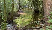 Randonnée Marche Viroinval - Oignies en Thierache 20,7 km - Photo 6