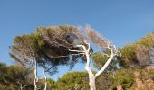 Trail Walking Saint-Jean-Cap-Ferrat - Cap Ferrat - Photo 2